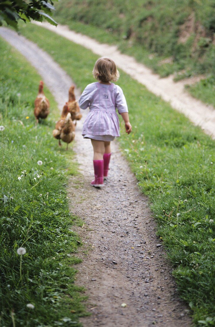 Kleines Mädchen mit Hühnern auf einem Feldweg