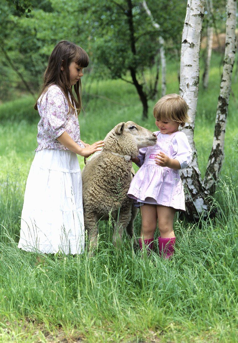 Zwei Mädchen mit einem Schaf auf der Wiese