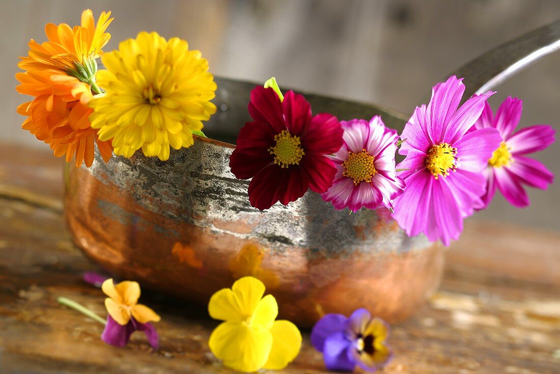Edible flowers in a copper pot