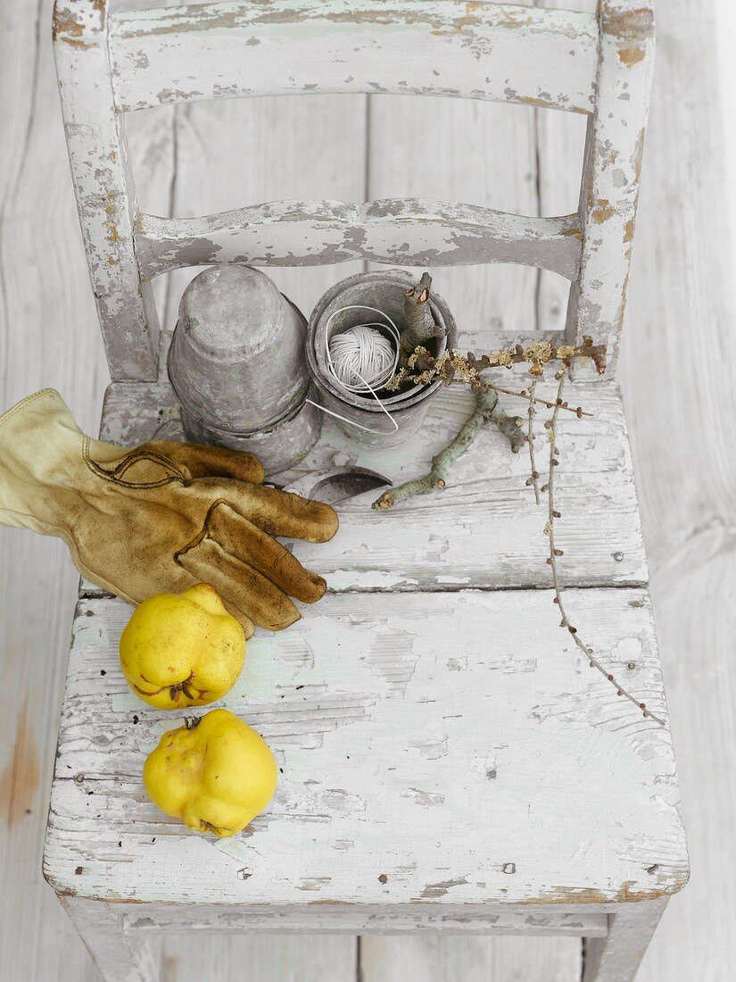 Quinces, gloves and other utensils on a wooden chair
