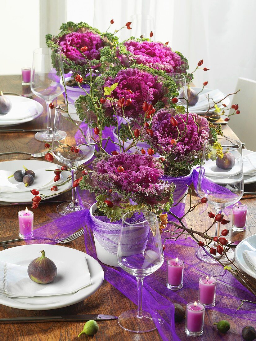 Attractively laid table with ornamental cabbage, rose hips, figs