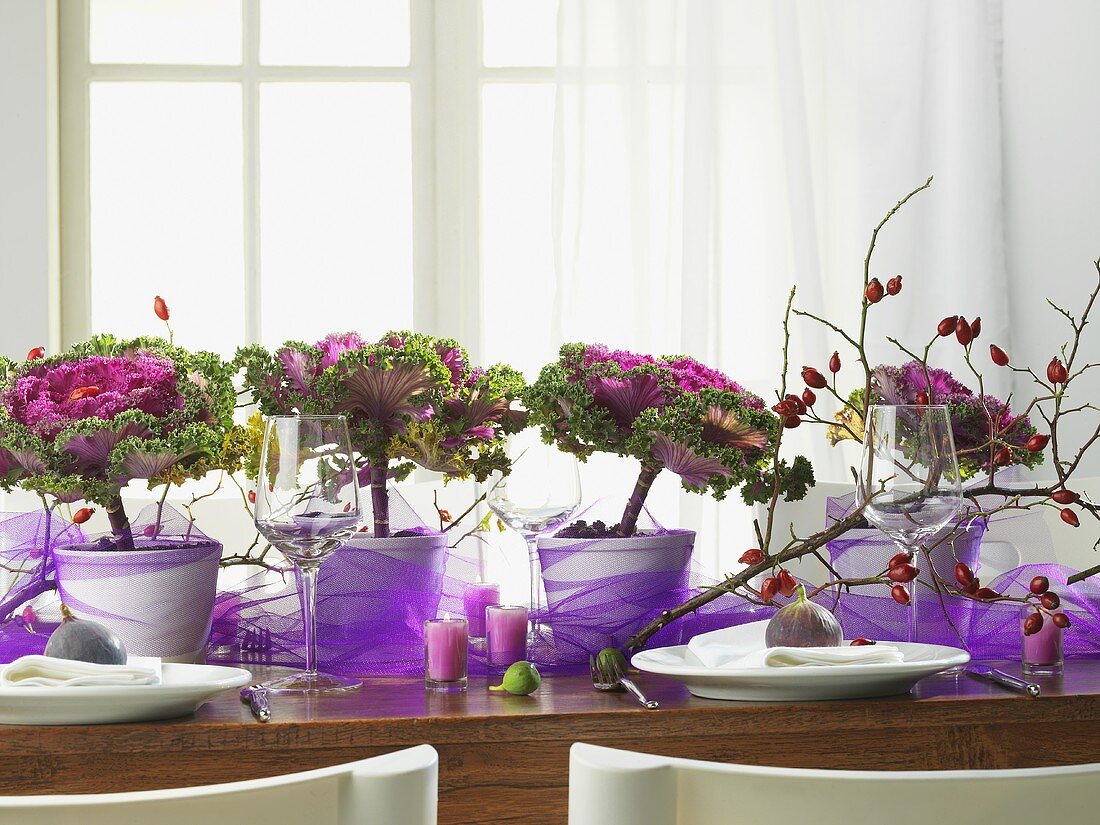Herbstlich gedeckter Tisch mit lila Tüll, Zierkohl und Hagebutten