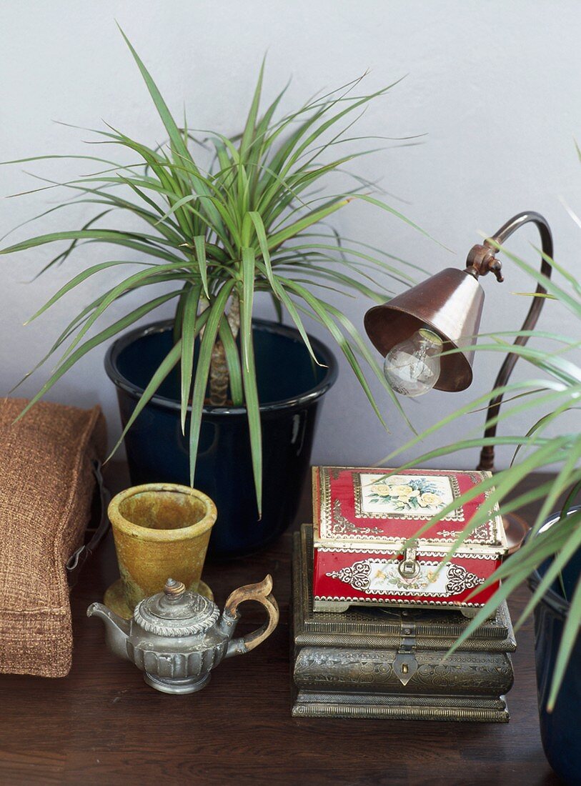 Potted plant and table lamp on wooden surface