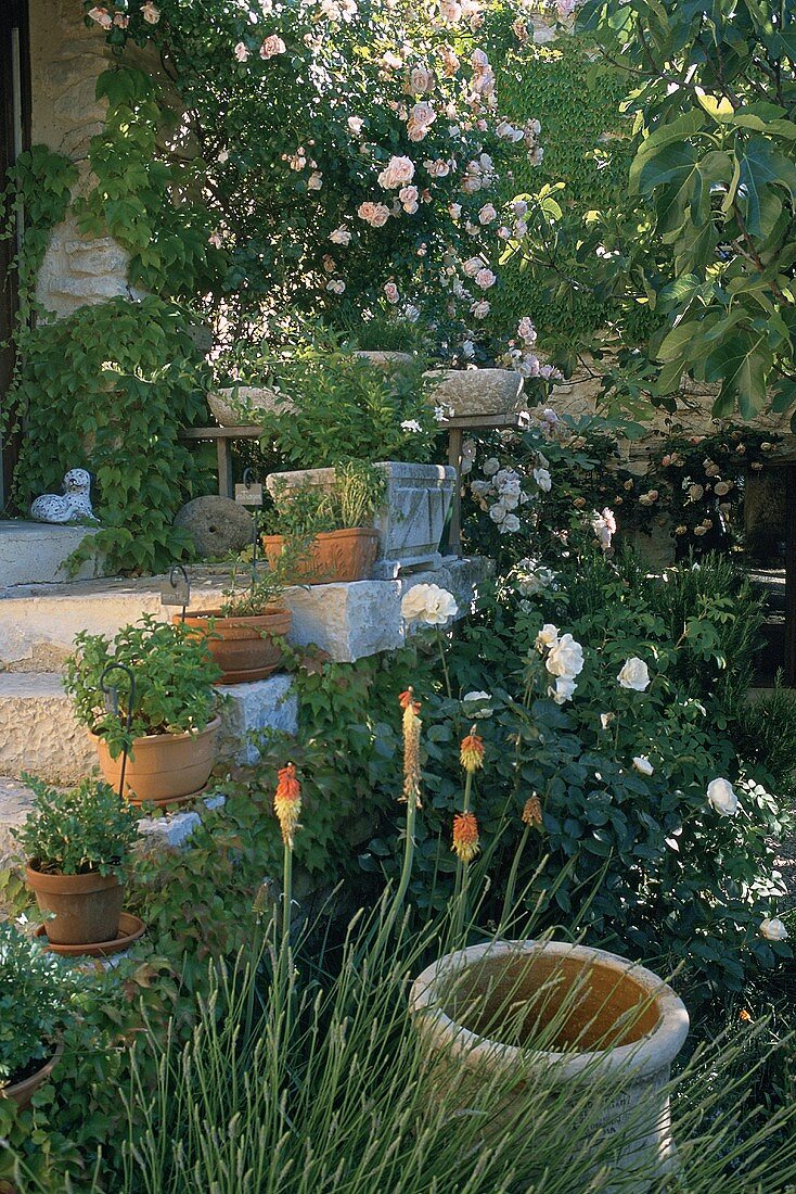 Ausschnitt Garten mit Treppe
