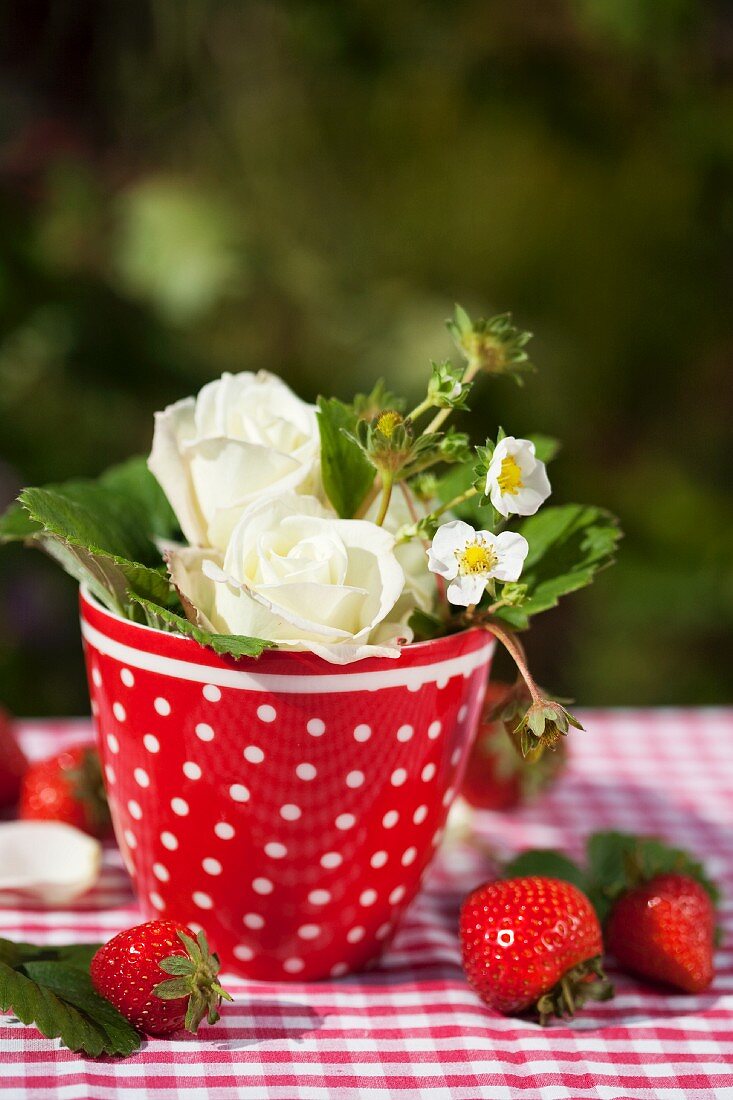 White roses and strawberry flowers in a flowerpot