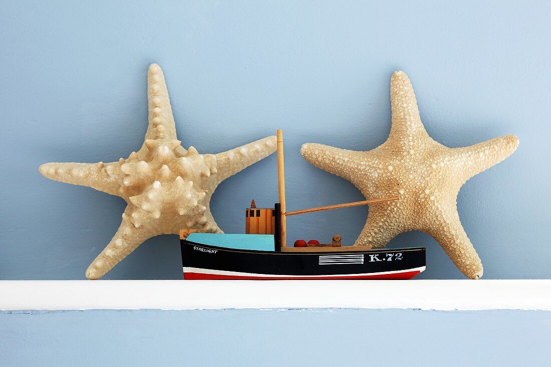Star fish and a model boat on a wall shelf