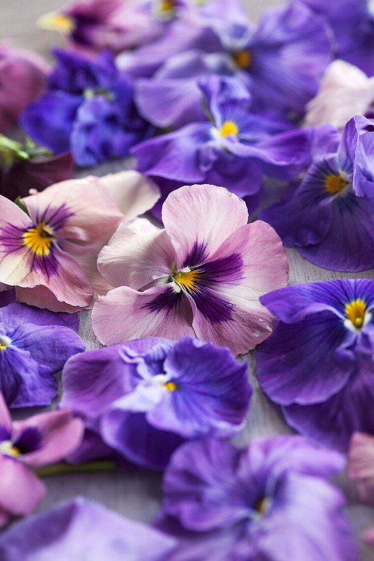 Pansies