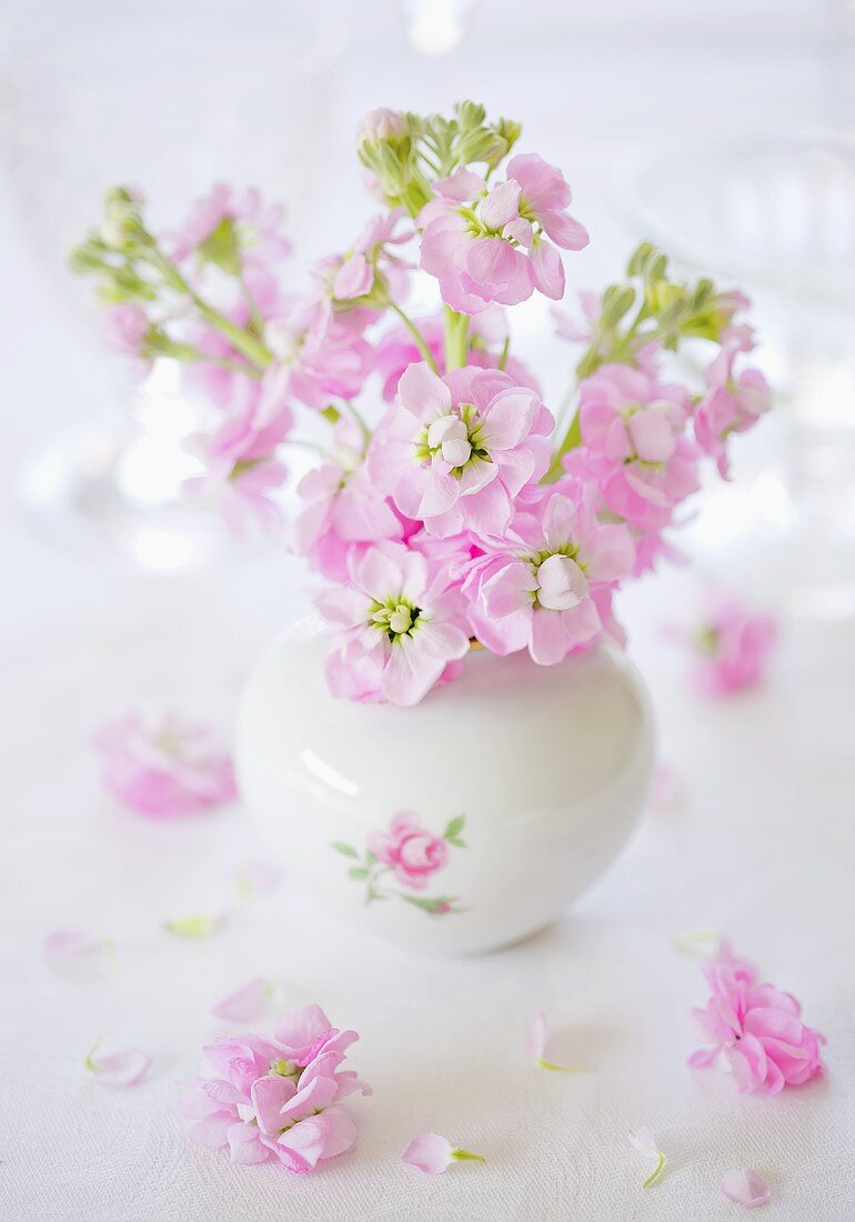 Pink roses in a vase