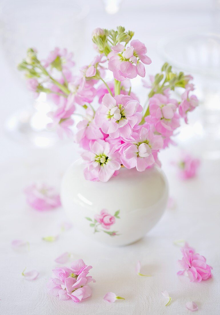 Rosa Blumen in einer Vase