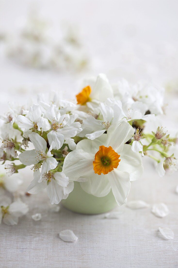 A bouquet of daffodils and cherry blossom