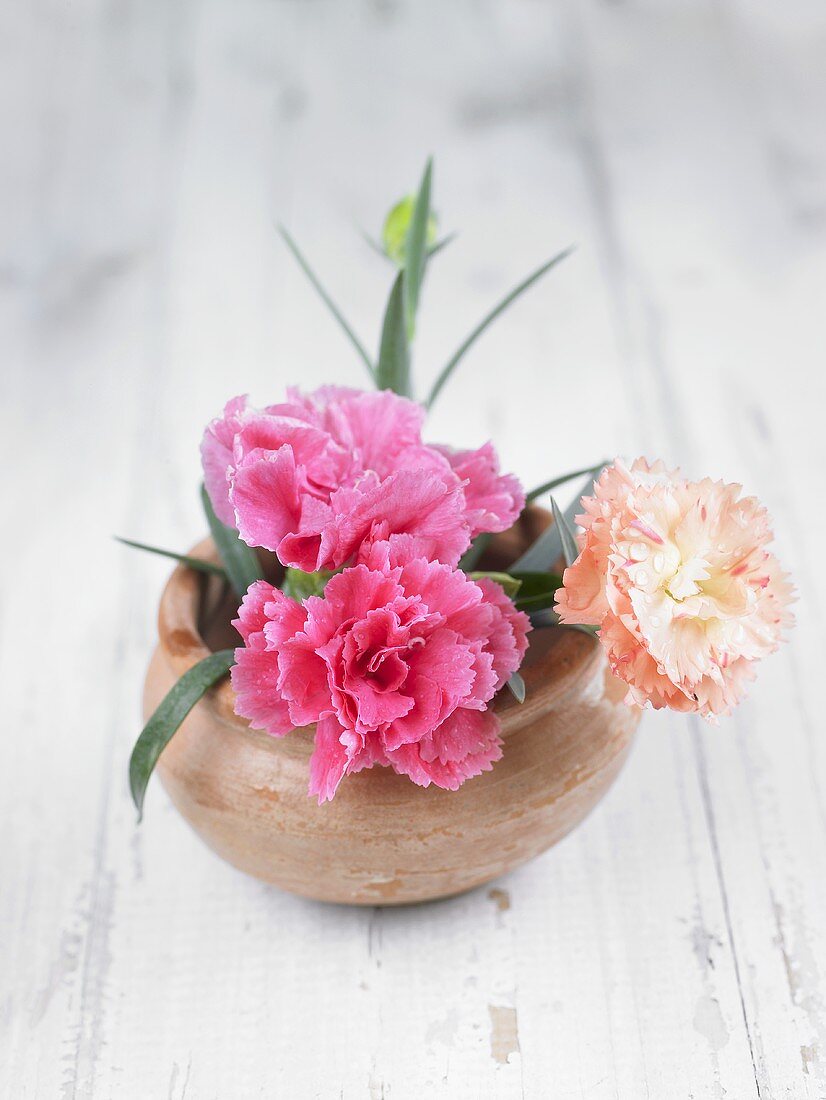 Pink carnations in ceramic vase