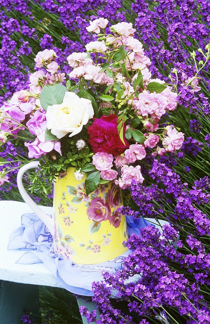 Roses on a stool in a field of lavender