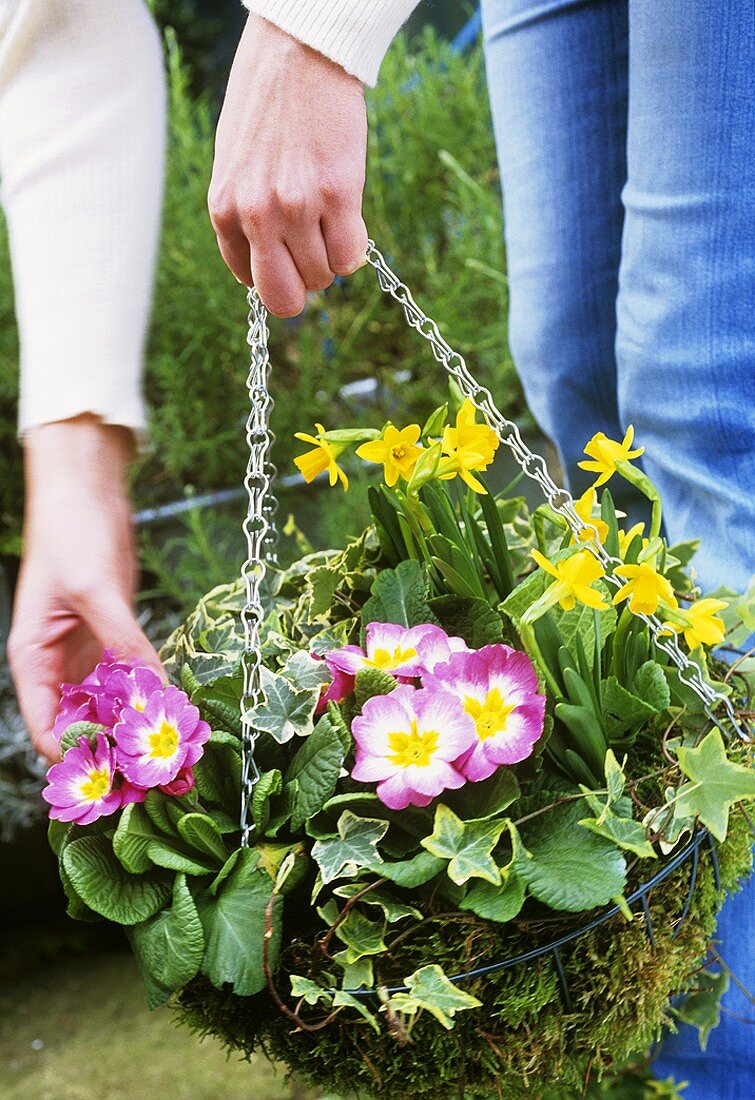 Woman's hands holding hanging basket planted with spring flowers