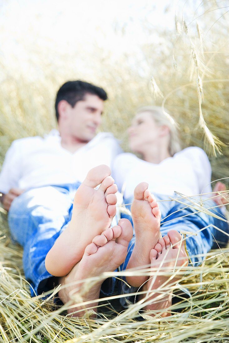 Young couple in a cornfield
