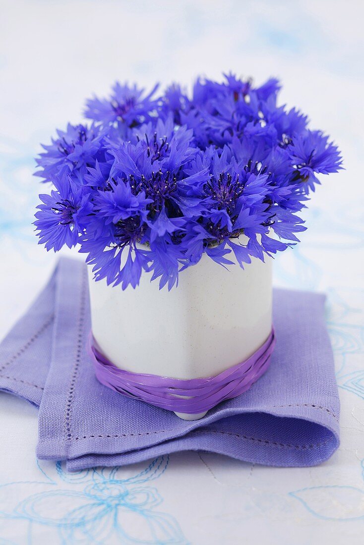Cornflowers in a vase