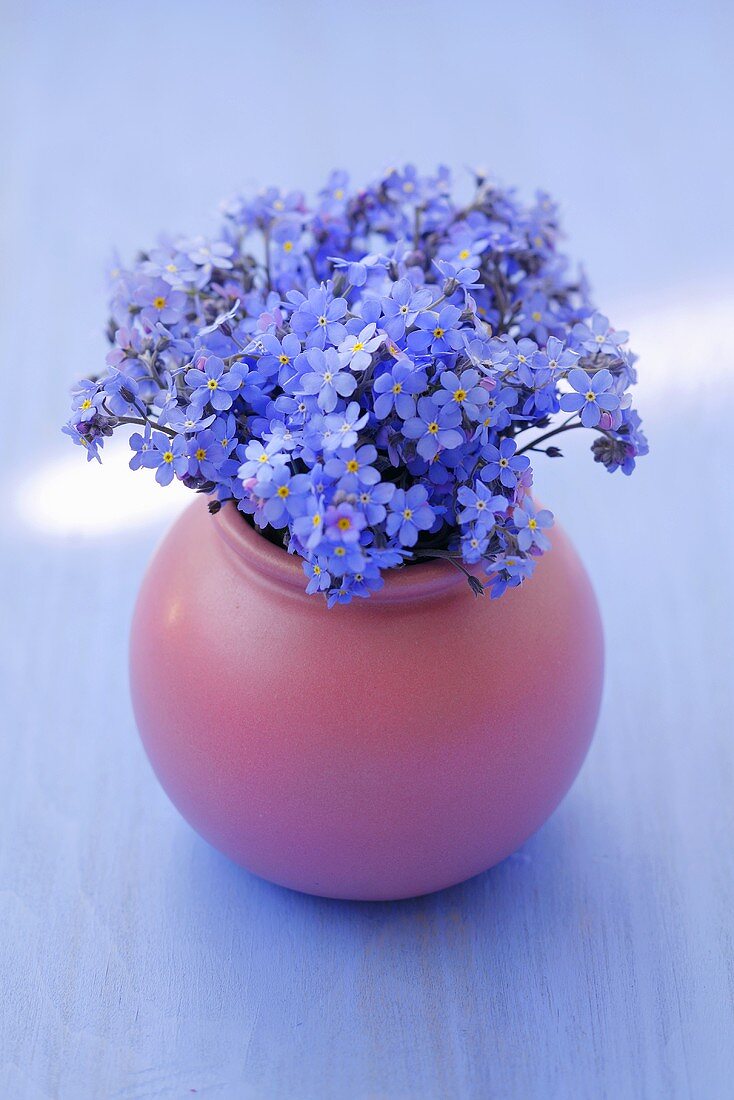 A vase of forget-me-nots