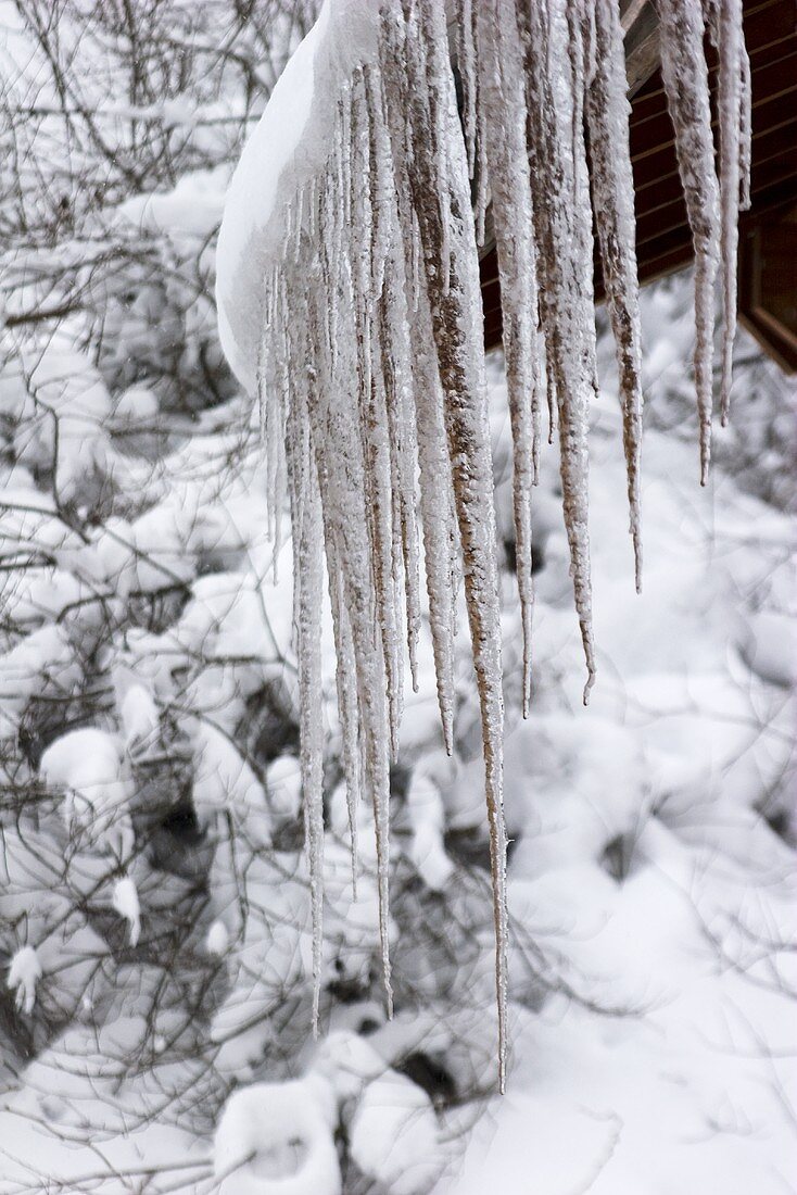 Eiszapfen am Hausdach