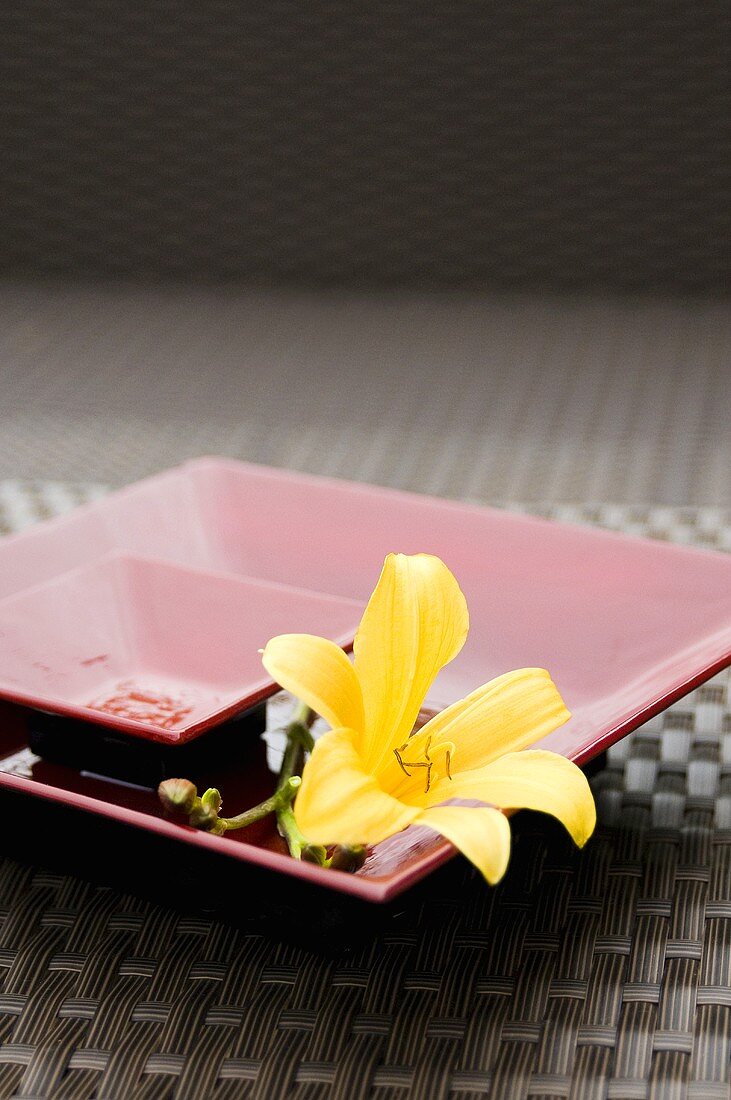Asian plates with a flower
