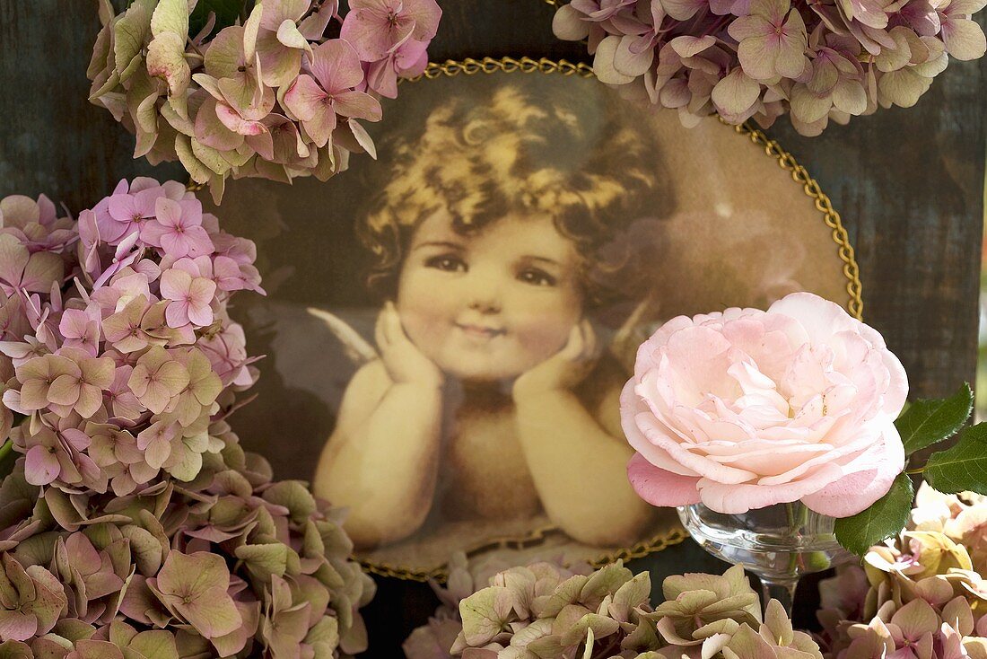 Nostalgic angel with hydrangeas and rose