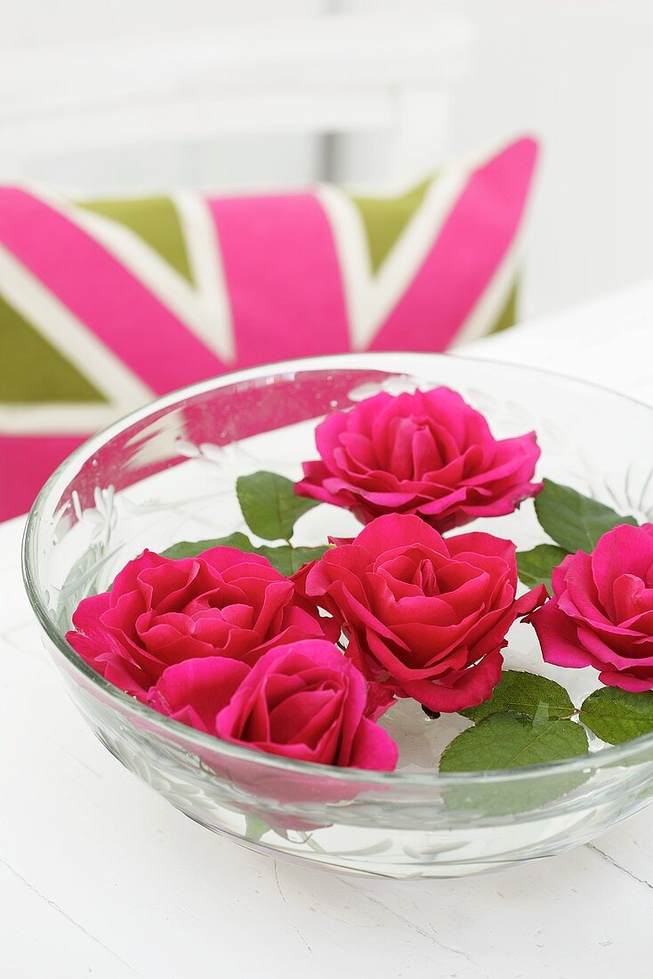 Pink roses floating in a bowl of water