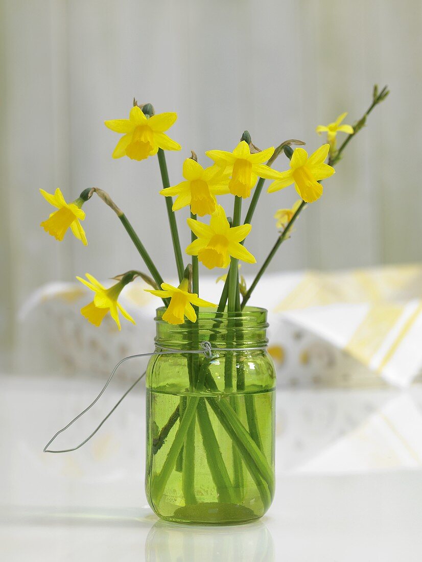 Bunch of narcissi in a jam jar of water