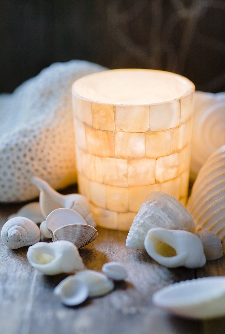 Mother of pearl lantern and snail shells