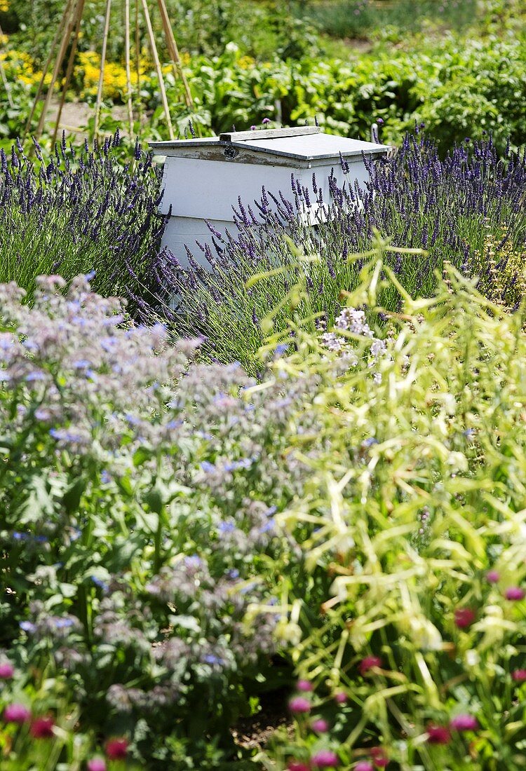A beehive in a cottage garden