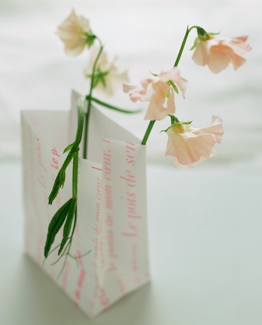 Blumen in einer Papiertüte