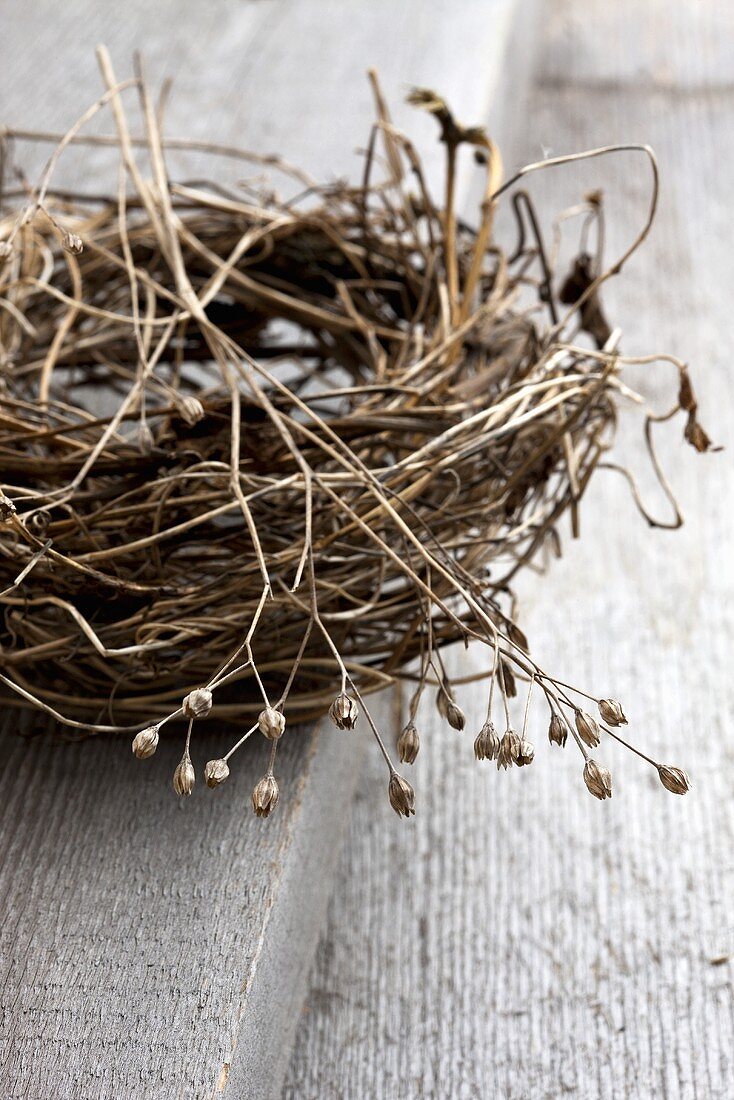 A birds nest made of dried twigs on a wooden table