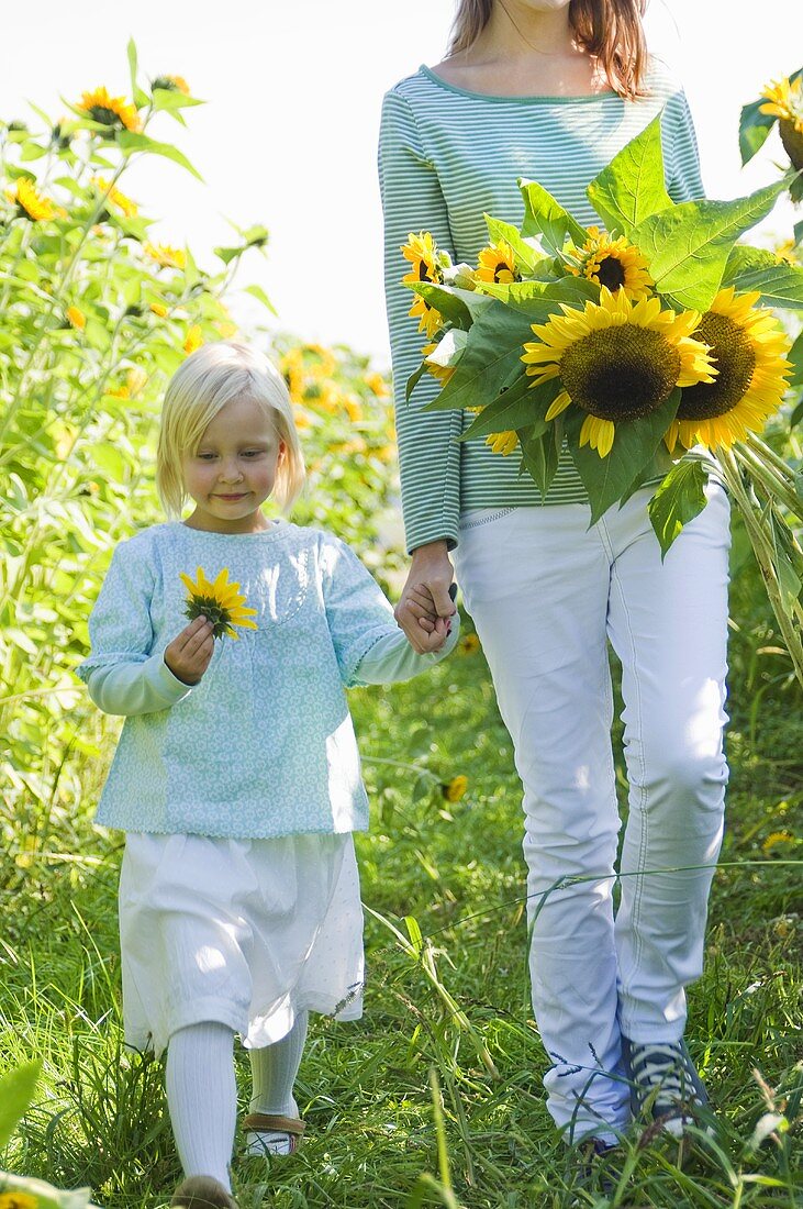 Grosses Mädchen mit kleiner Schwester auf einem Sonnenblumenfeld