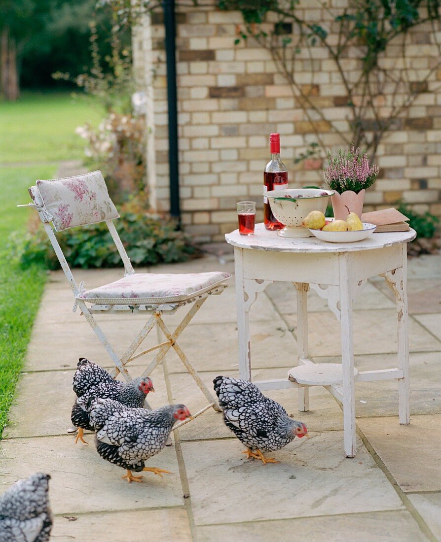Hühner auf Terrasse, Birnen und Wein auf Gartentisch