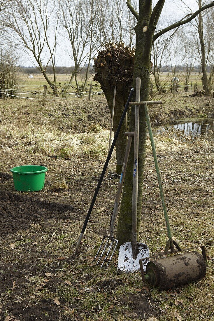 Gartenwerkzeug im Gemüsegarten