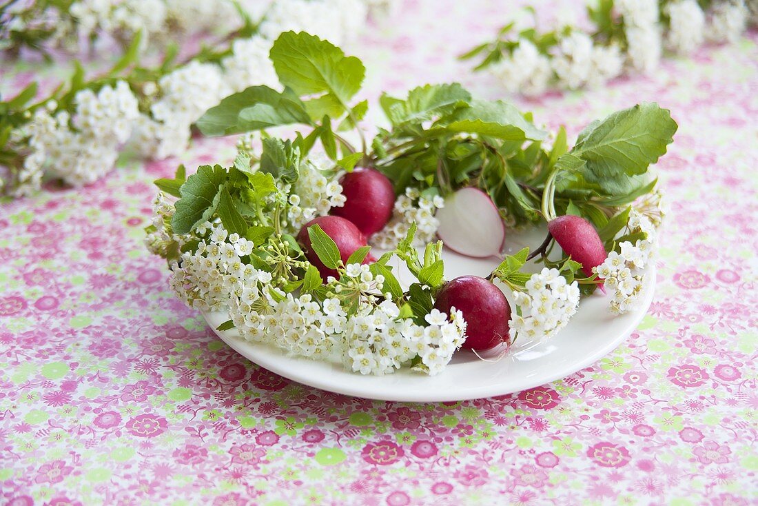 Radishes in a wreath of spiraea