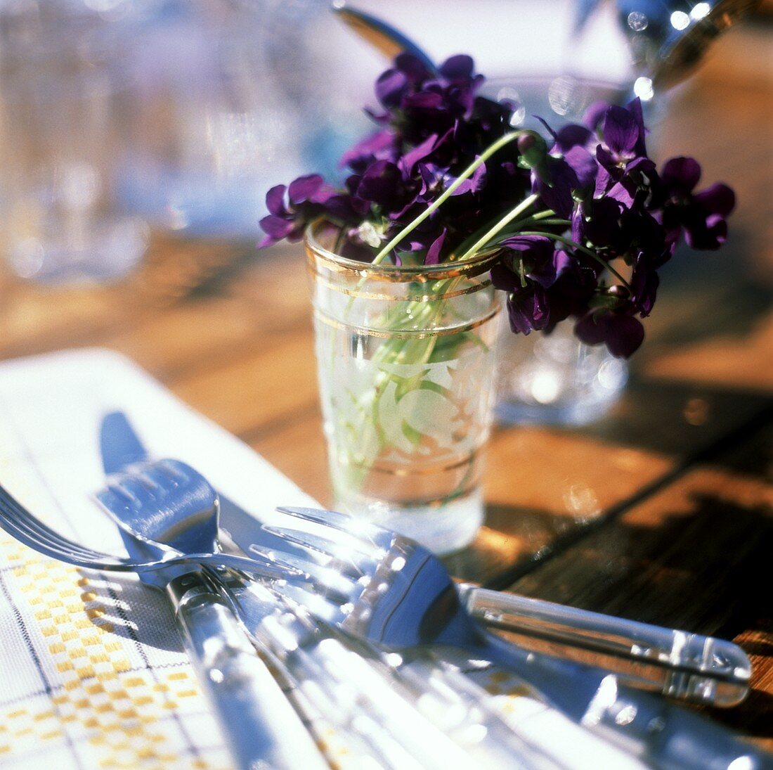 Violets in a Glass of Water; Utensils