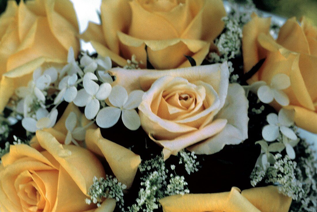Elegantes Blumenbouquet mit Rosen
