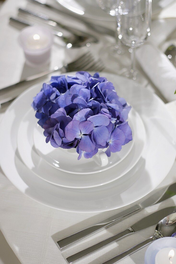 Festive place-setting with blue hydrangea in soup bowl