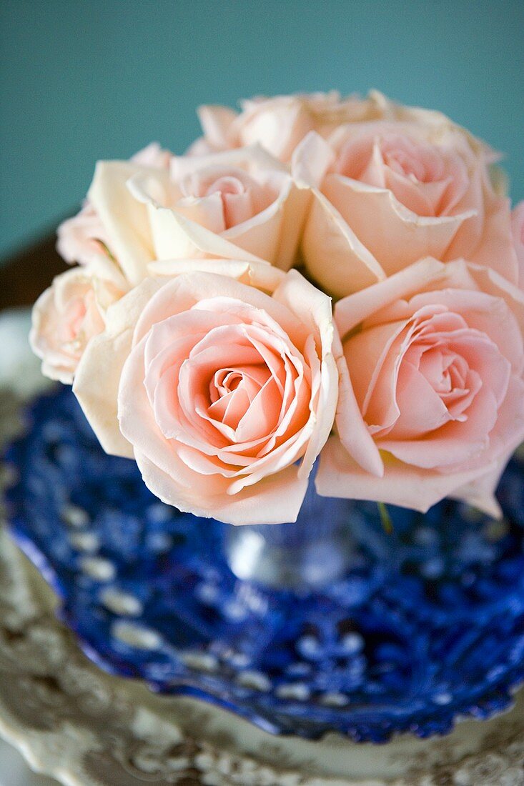 Vase of pink roses