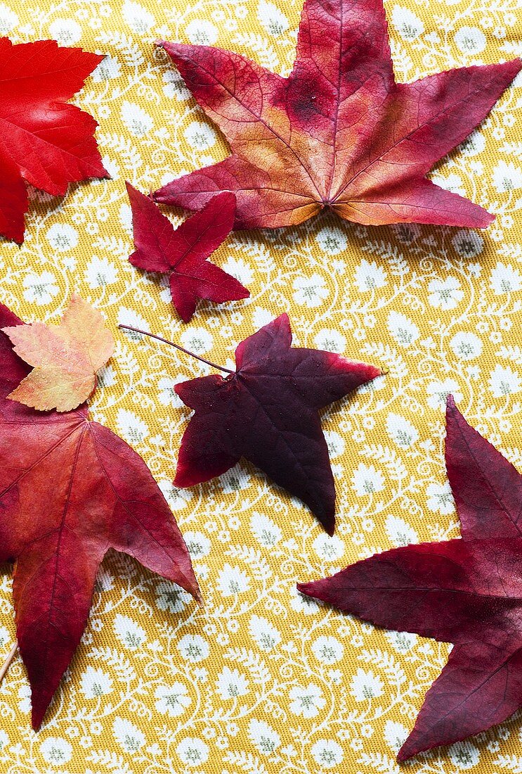 Herbstblätter auf Tischtuch