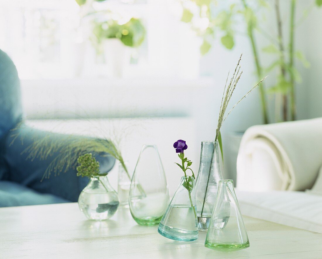 Verschiedene Glasvasen mit Blüten und Gräsern