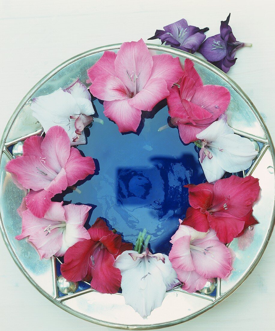 Pink and white flowers arranged in a circle on a plate