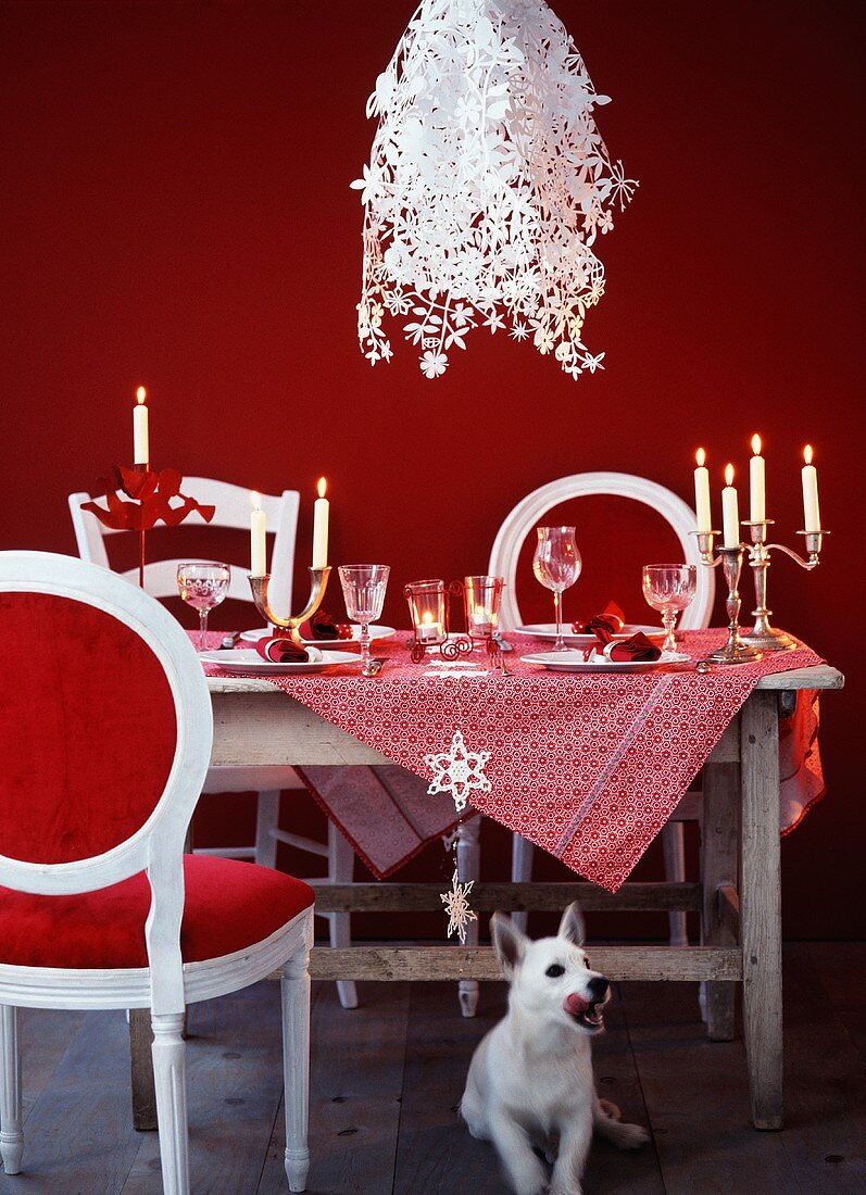 Gedeckter Weihnachtstisch mit Designer-Lampe, davor ein Hund