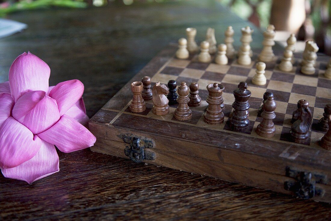 A purple lotus leaf next to a chess board