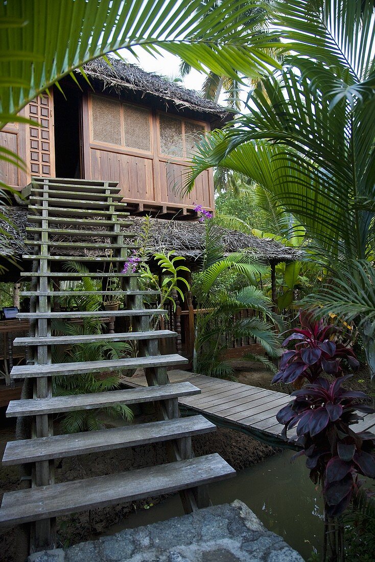 Ein Treppenaufgang zum Palmenhäuschen mit tropischer Vegetation