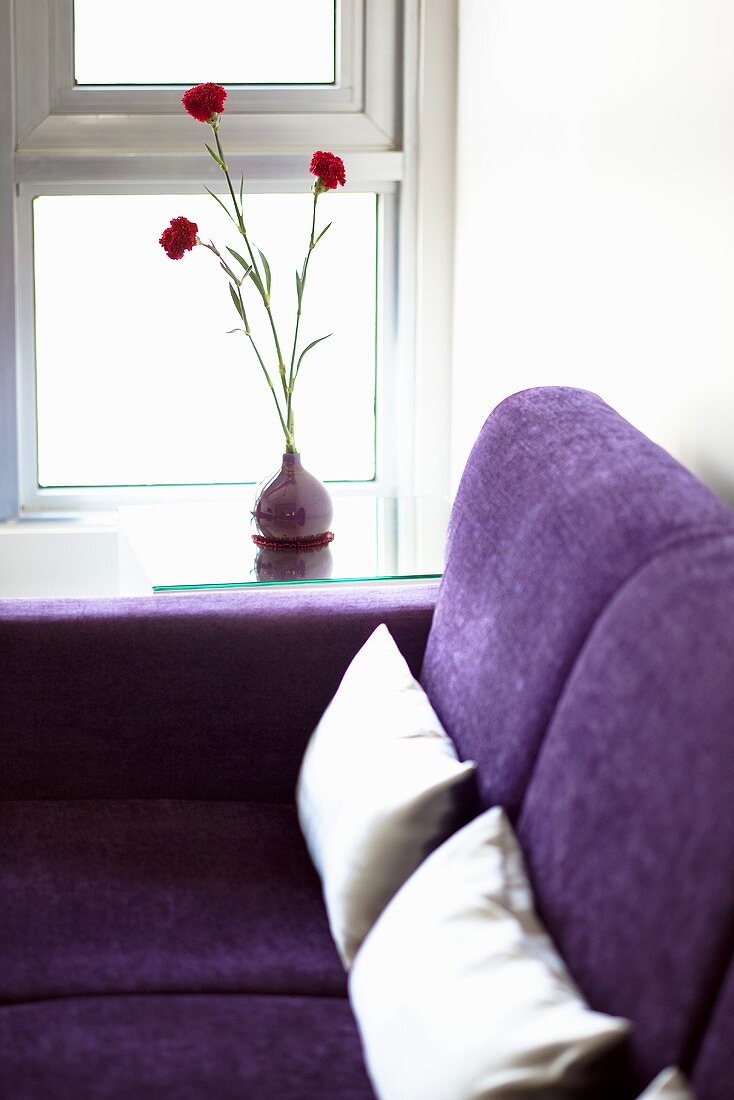 A purple sofa with two white cushions near a window with a vase of red carnations on the window sill