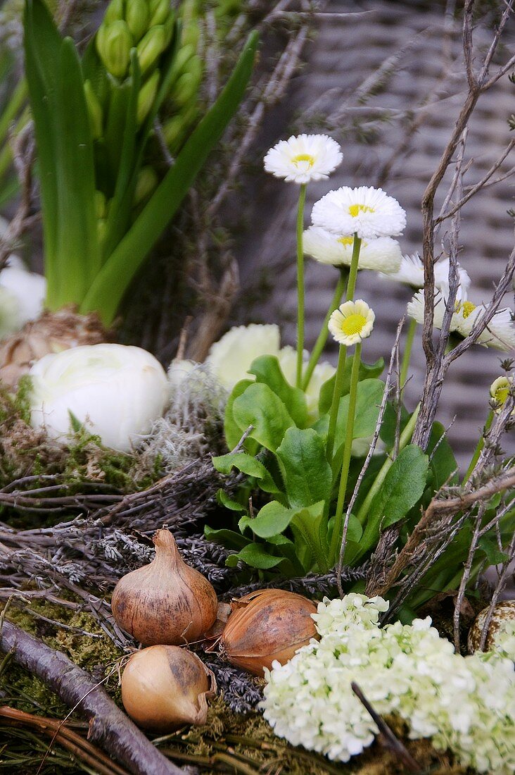 Dekoration aus Frühlingsblumen