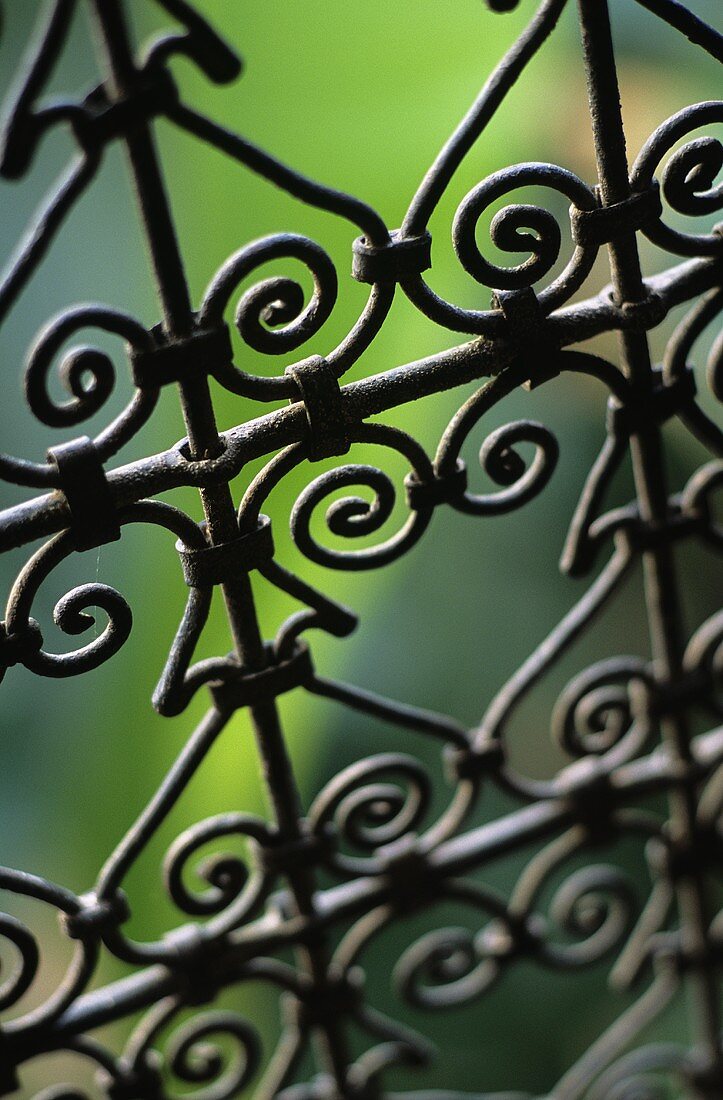 A wrought iron fence (detail)