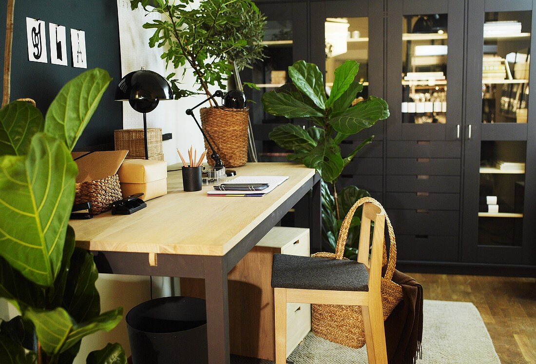 Work room corner with house plants