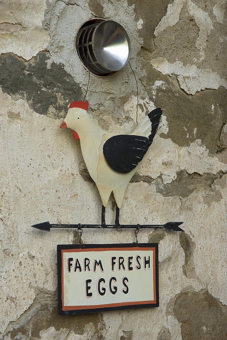 Farmhouse fresh eggs -- 'For Sale' sign with an animal figure on a natural stone facade