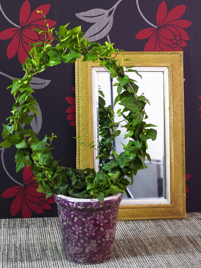 Kranzförmige Pflanze im Topf und Spiegel vor schwarzer Tapete mit Blumenmuster