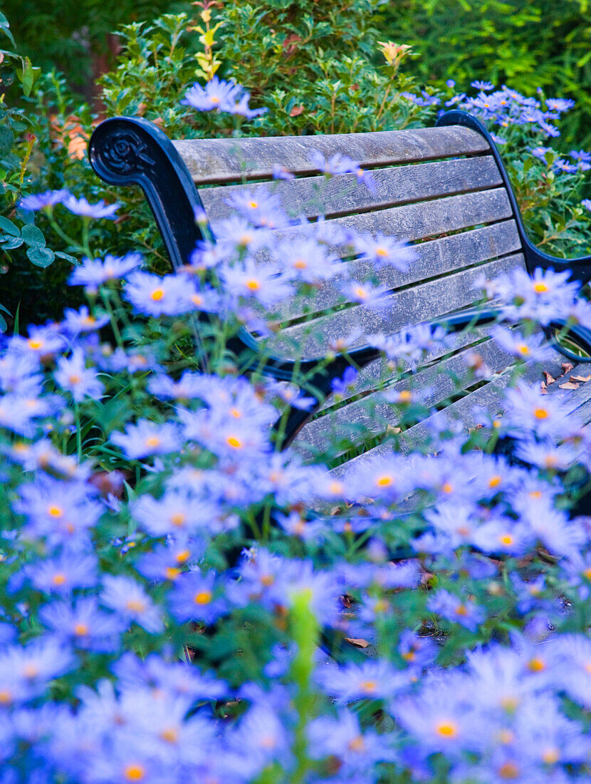 Park Bench and Flowers, Portland, Oregon, USA